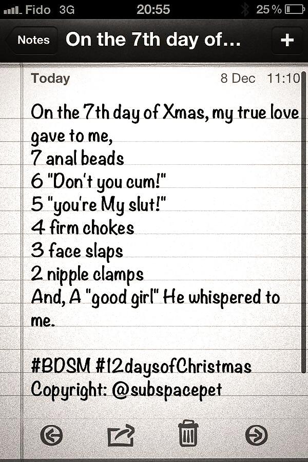 Doce días de navidad - subspacepet en twitter
 #25933499