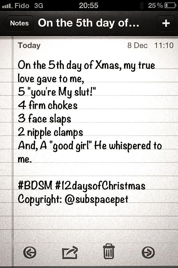 Doce días de navidad - subspacepet en twitter
 #25933511