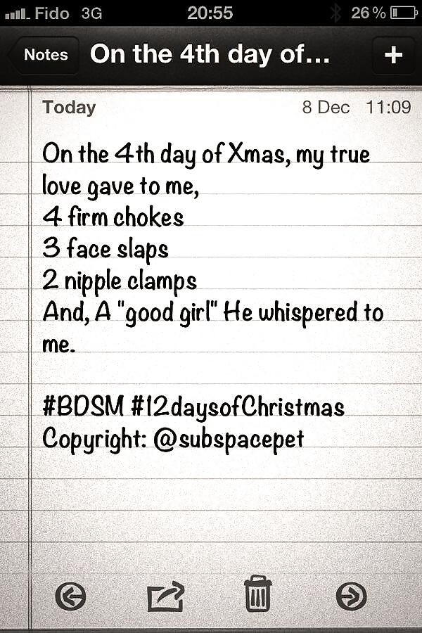 Doce días de navidad - subspacepet en twitter
 #25933516