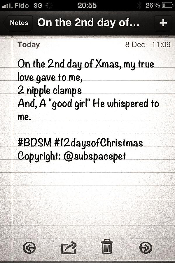 Doce días de navidad - subspacepet en twitter
 #25933531