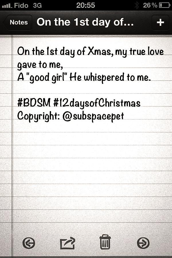 Doce días de navidad - subspacepet en twitter
 #25933536