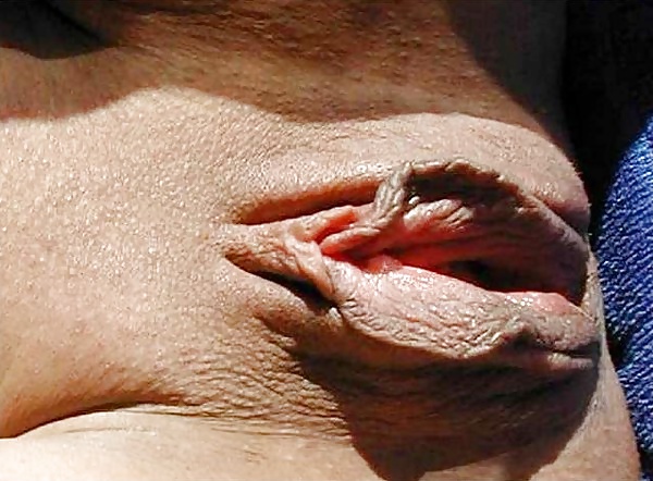 Rosette 16 #29843772