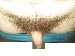 My Hairy Uncut Dick For All