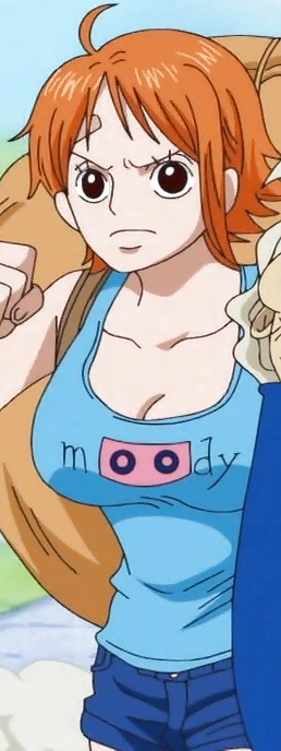 ワンピースHENTAI - NAMI 
 #27245971