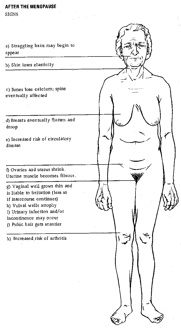 Menopause before or after 50 yo #28662000
