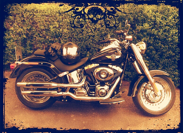 Cabalgata de vaqueros
 #28838914