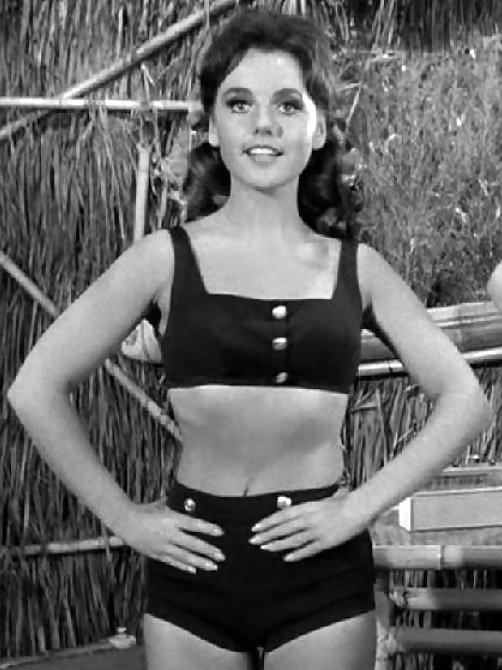 Dawn Wells #25317108