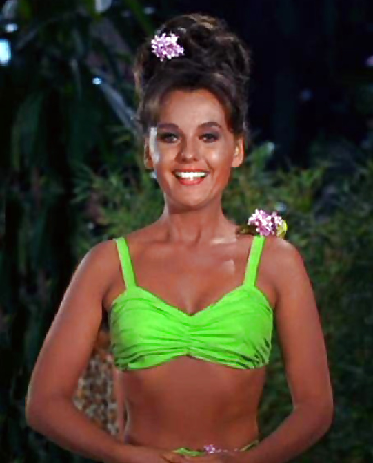 Dawn Wells #25317114