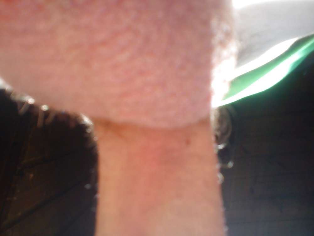 私の可愛いシュヴァンツ
 #25124684