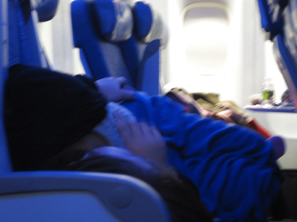 ランダムフライト
 #36497020