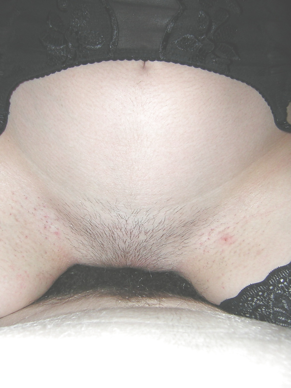 Amatrice soubrette
 #39009844