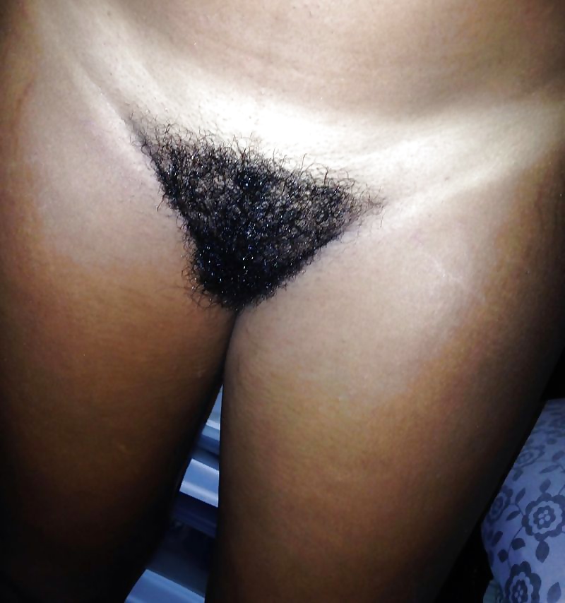 Real Hairy Amateurs #39399918