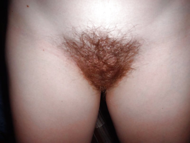 Real Hairy Amateurs #39400059