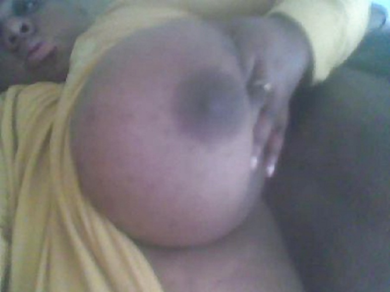 Chocolate Titters to skeet on 3 #36057397