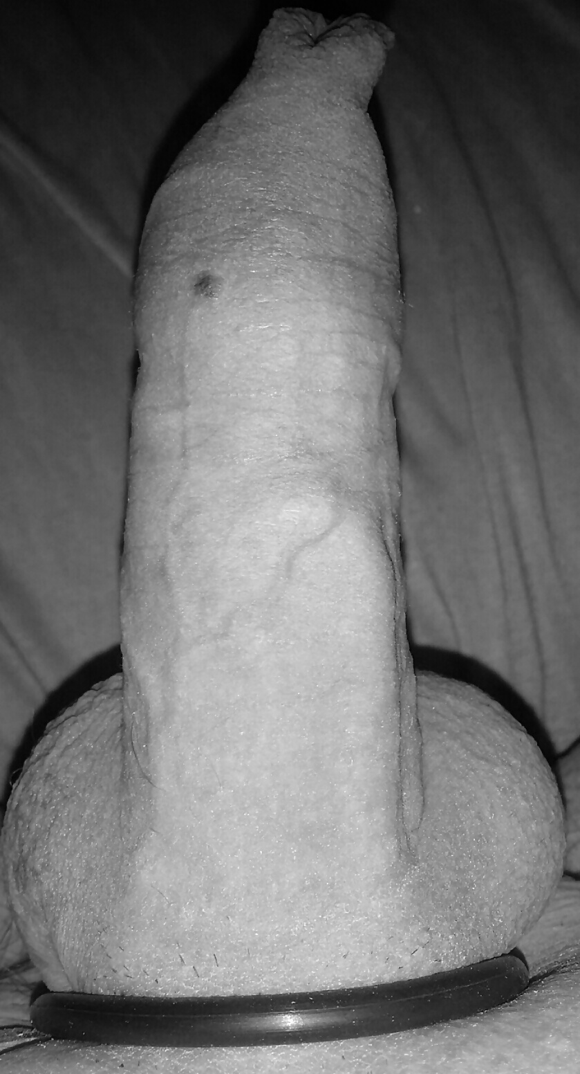 Cockring schwarz weiss
 #32079167