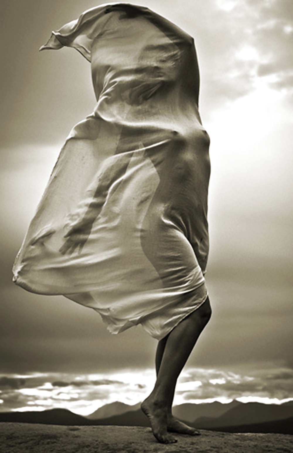 Janas art de la joie 484
 #29901520