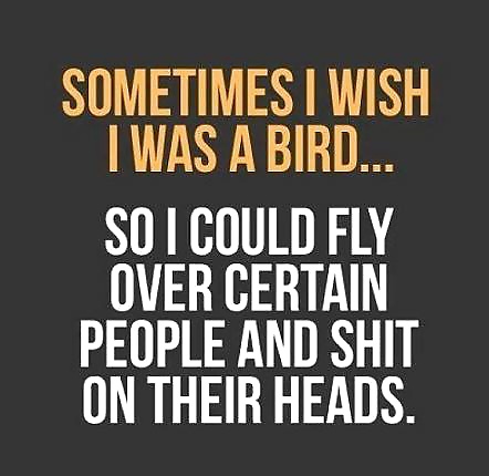 You Don't Have To It Just Because You Think It. #31647680