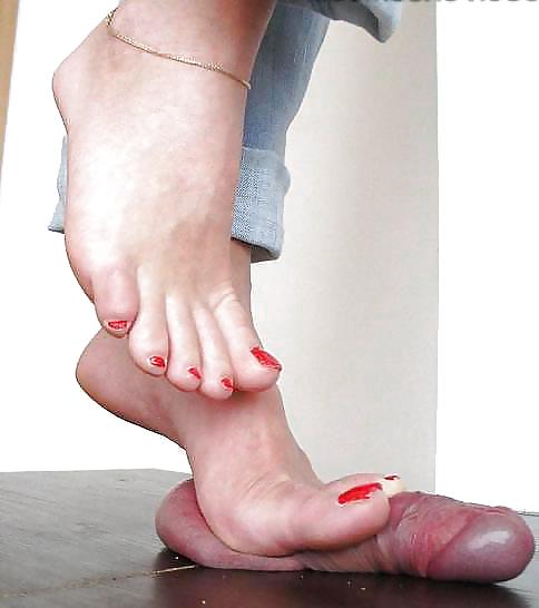 ¡Estos cerditos fueron disfrutados!
 #36060473