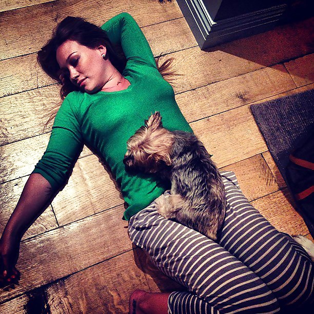 Hilary duff
 #27520850