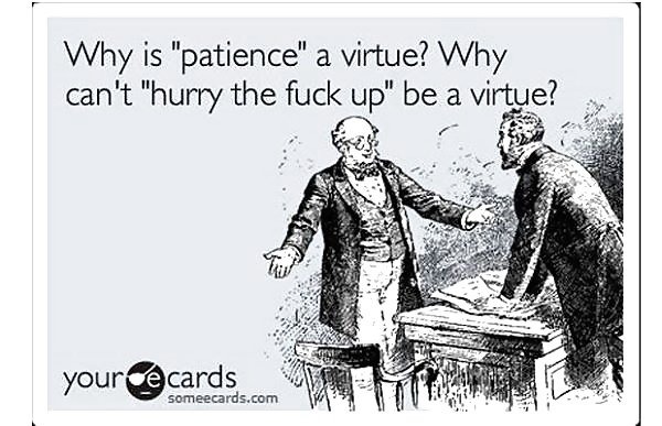 面白い写真
 #37405151