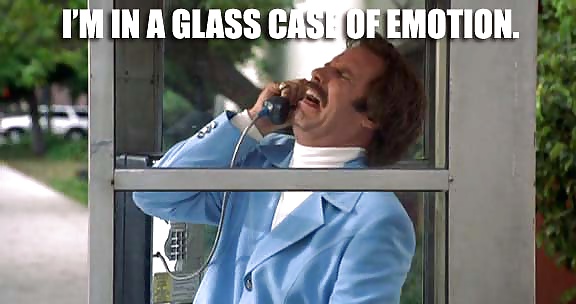 面白い写真
 #37405175