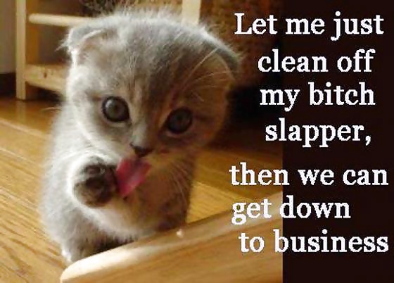 面白い写真
 #37405178