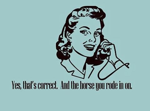 面白い写真
 #37405203