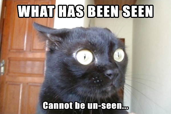 面白い写真
 #37405232