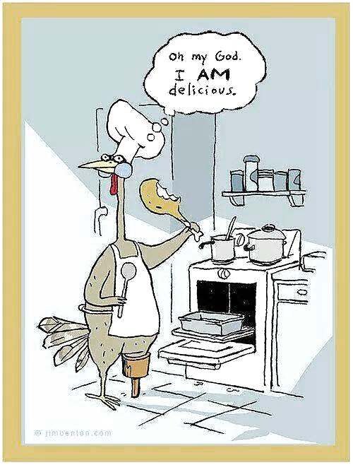 面白い写真
 #37405268