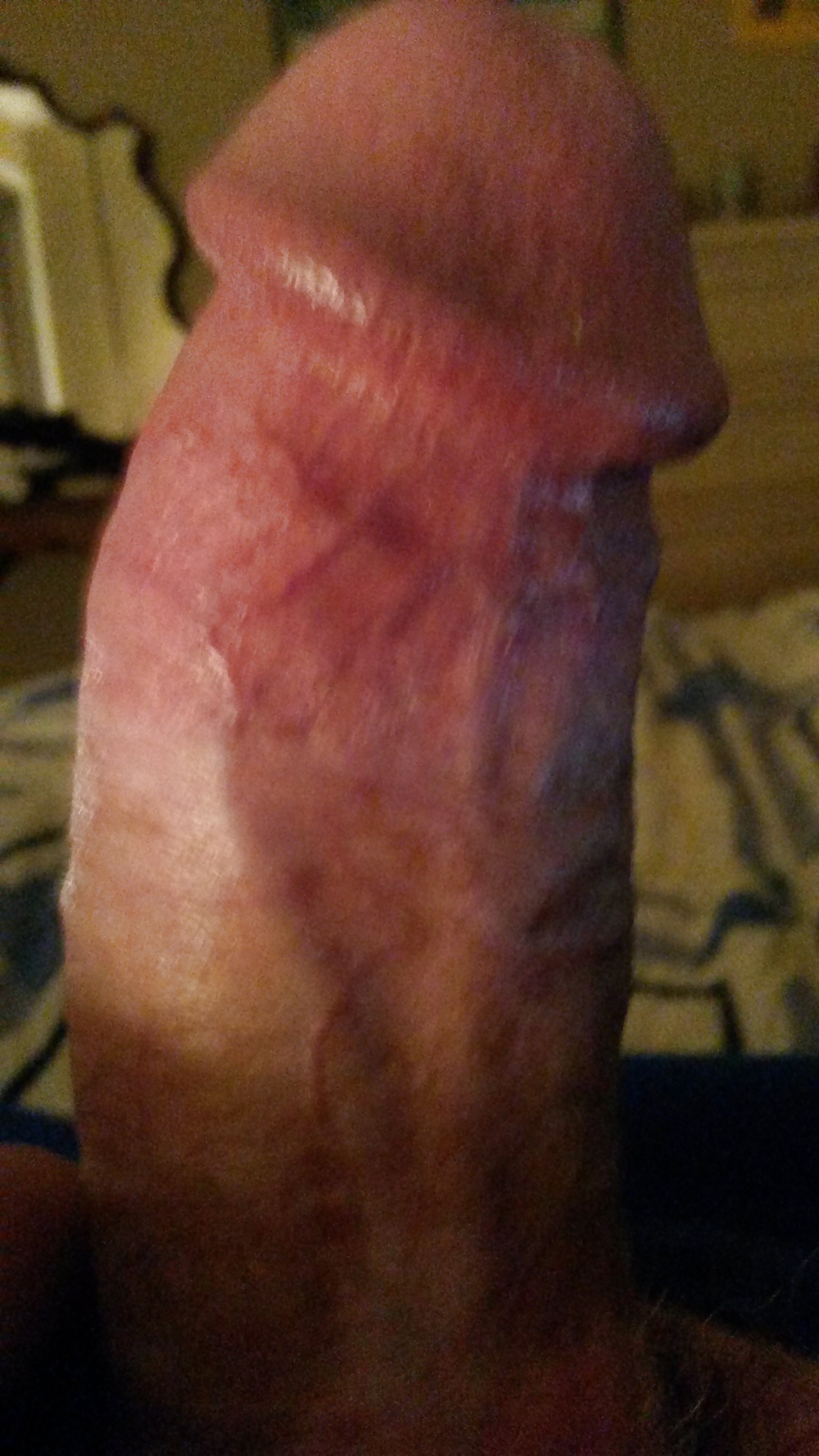 My Cock (new) #29567136