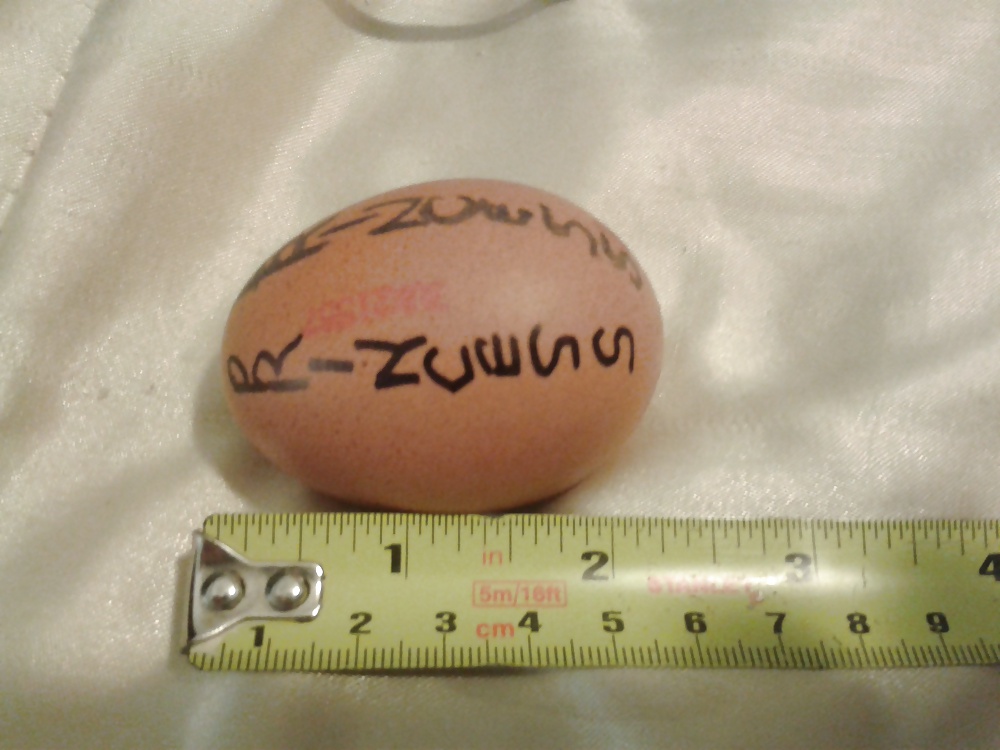 この日のために用意されたのは、鶏の卵のような大きさのボール。
 #25993148