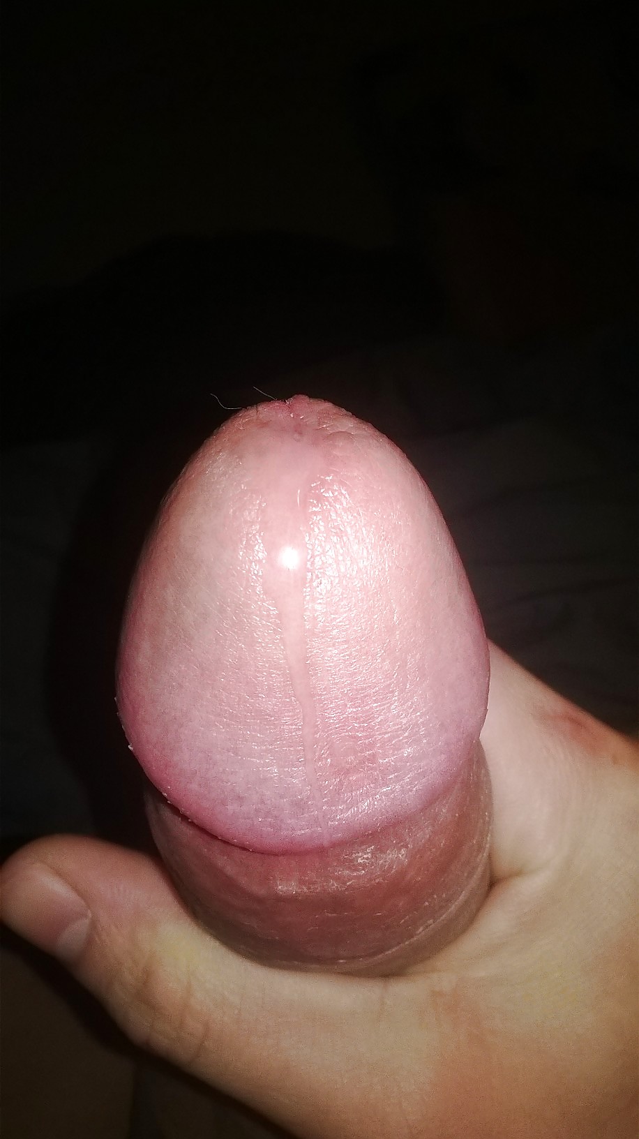 ¡Nuevo yo!
 #25609444