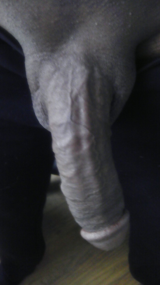 Meine Bilder #24012227