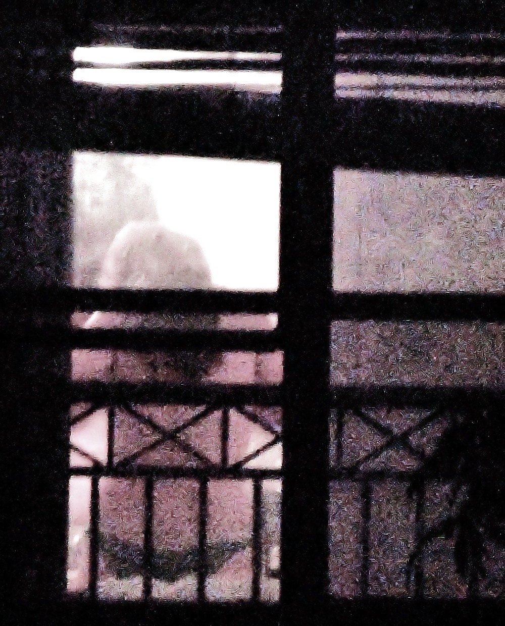 Spying on my neighbors #33423788