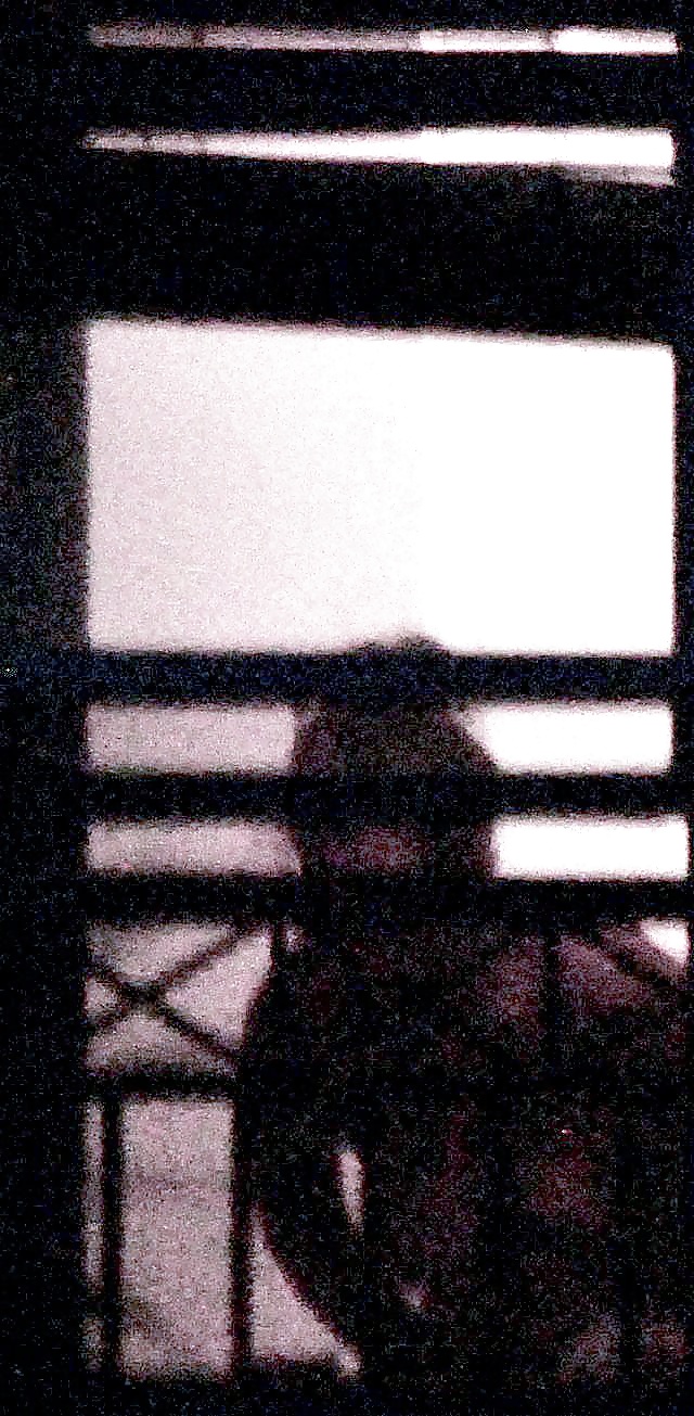 Spying on my neighbors #33423838