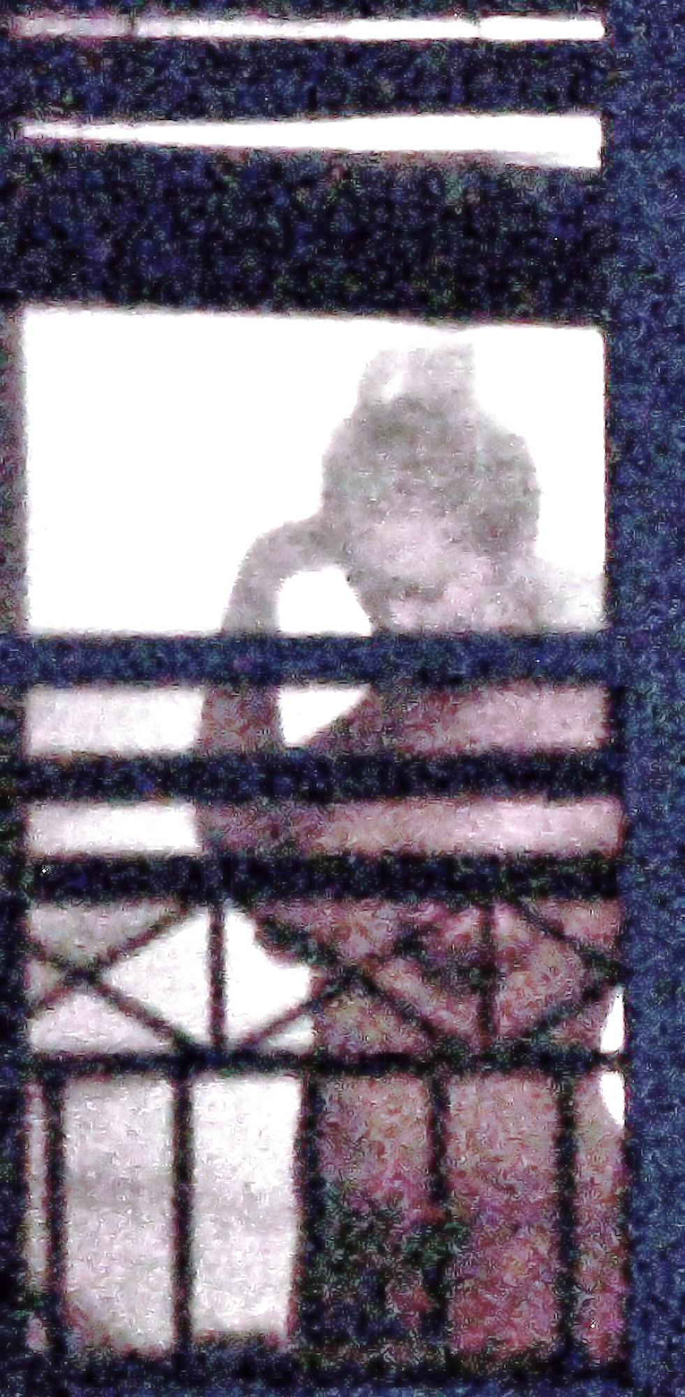 Spying on my neighbors #33423845