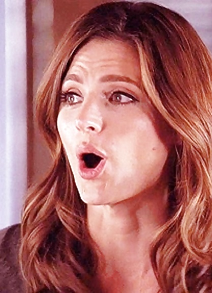 Stana Katic #41079682