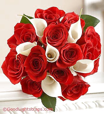 Red roses #32661320