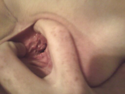 Stole From Camera #26885990