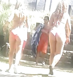 Tuga madeira
 #23210602