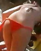 Tuga madeira
 #23210636