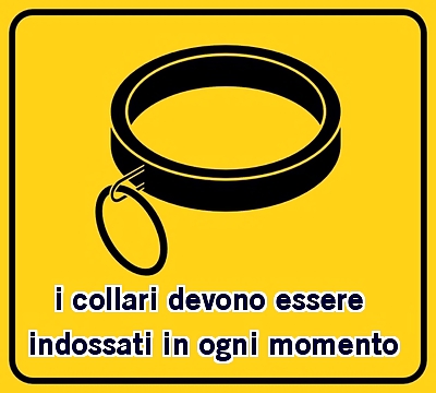 Vignette Femdomin Italiano #36542734