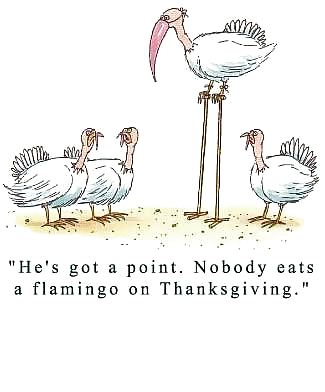 Funny Happy Thanksgiving by SLAVE2PUSSY #23159401