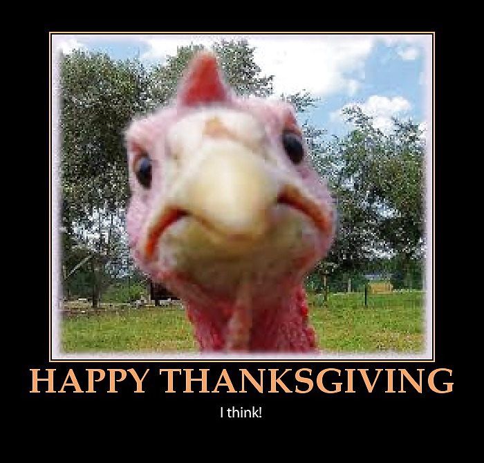 Funny Happy Thanksgiving by SLAVE2PUSSY #23159442