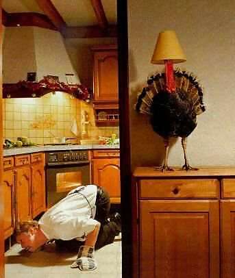Drôle Thanksgiving Par Slave2pussy #23159576