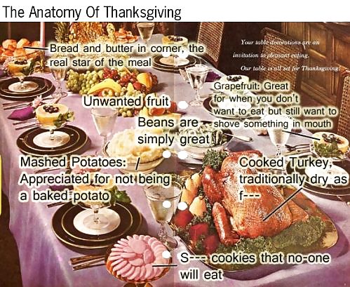 Funny Happy Thanksgiving by SLAVE2PUSSY #23159612