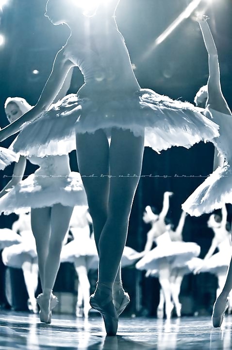 Ballet # 3 #24709919
