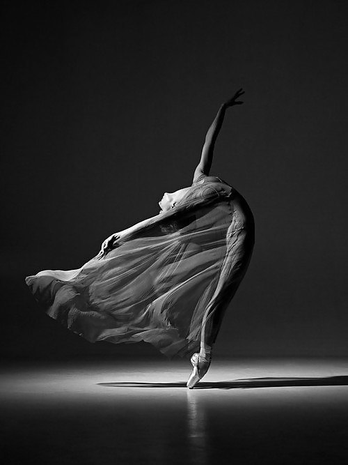 Ballet # 3 #24709923