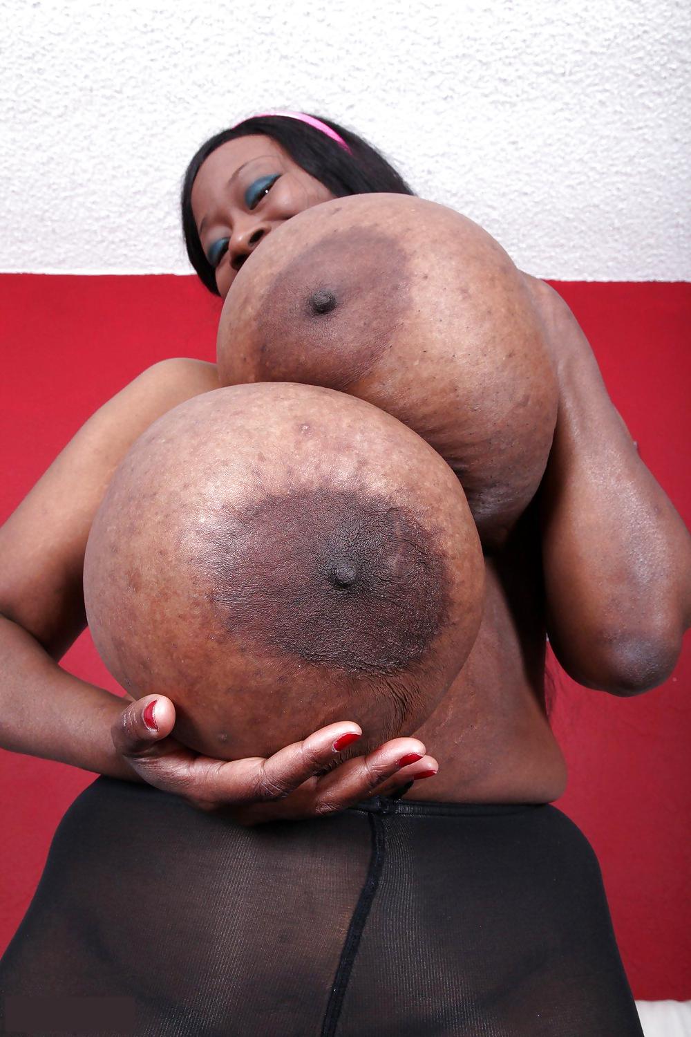 VOTE FOR YOR FAVOURITE BBW WITH HUGE BLACKS BOOBS  #25814859