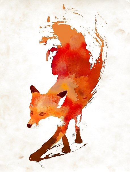 The fox #33645395
